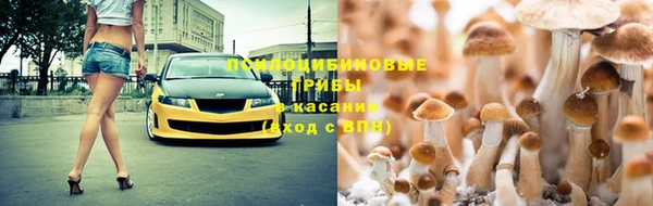 стафф Майский