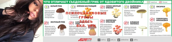 стафф Майский