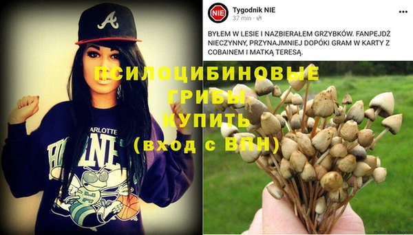 MDMA Premium VHQ Магадан